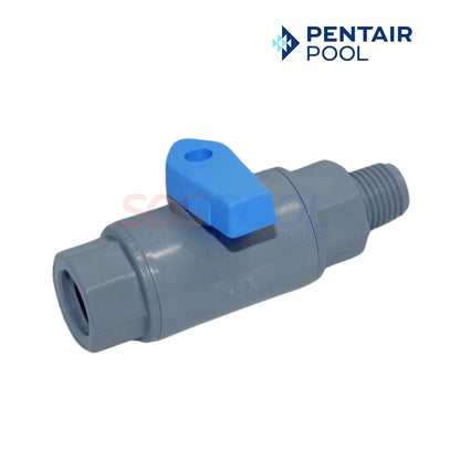 Pentair Ball Valve For IntelliChem | 1/4" NPT | 622000080