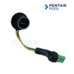 Pentair Cable Connector 176L1173 for IntelliFlo Pump Keyboard to Control Board | SOS Pool Supplies