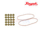 Raypak Copper Tube Bundle Heat Exchanger For 406A/407A | 010062F flange nut kit and gaskets for replacement in pool supplies.