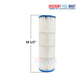 DPM-6950 Cartridge for 60 Sq. Ft. Hayward DEP60 | DEX150E | C-6950