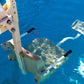 Aqua Creek Mighty 400 ADA Pool Lift Mighty Series | F-MTY400