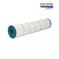 DPM-620-P-1 Cartridge for Pentair 145 Sq Ft FullFloXF C-Series 620 SF Filters | 170102 | C-7486