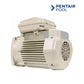 Pentair 1HP Single-Speed Super-Duty Pool Pump Motor, 56 Frame | 354821S