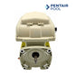Pentair 356288S VS Pump Motor & Drive Assembly (SuperFlo VS/VST)