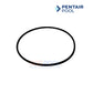Pentair ColorVision Bubbler Light Lens & O-Ring | 590104Z