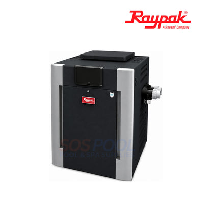 Raypak Control Panel Window for 302A-902B | 009747F