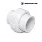Swimables 1.5" Slip x Slip PVC Union | SW-30-015