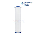 Pentair Clean & Clear Plus 420 Cartridge 1 Pack | 105 sq. ft | R173576 | 179135