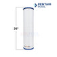 Pentair Clean & Clear Plus 420 Cartridge 1 Pack | 105 sq. ft | R173576 | 179135